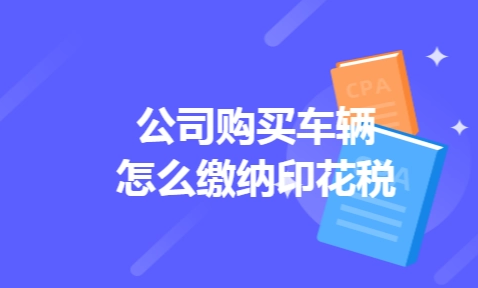 公司購車印花稅怎么交(公司購車印花稅交納指南)