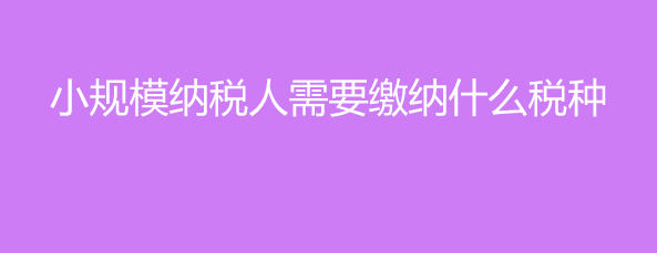 小規(guī)模納稅人要交什么稅